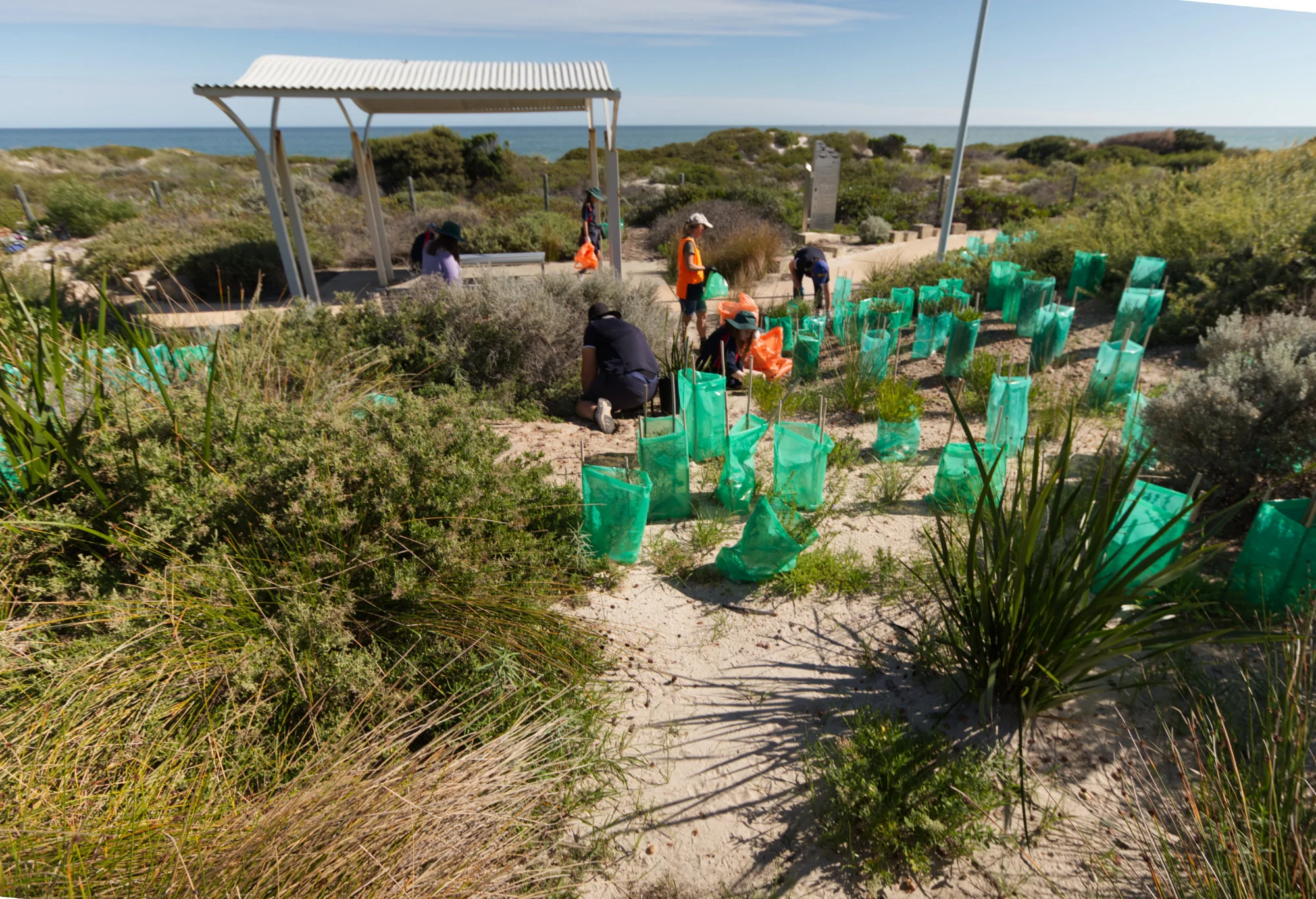 Community Coastal Garden 20210517